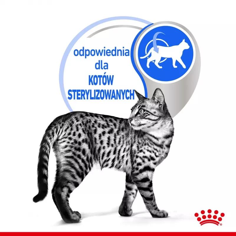 Comida húmeda para gatos Royal Canin Indoor Sterilized 85 g bolsa — gatos adultos esterilizados de interior, sabor aves, pack 12 x 85 g