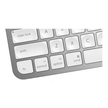 Teclado MX Keys Mini Mac Pale 920-010526 gris