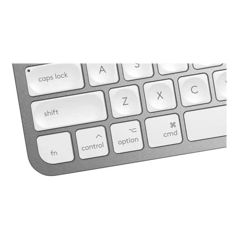 Teclado MX Keys Mini Mac Pale 920-010526 gris