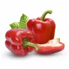 PNOS pimiento Ozarowska semillas recubiertas, paquete de 50