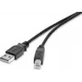 Cable USB 2.0 Renkforce 1487688, 0,3 m, negro, contactos dorados
