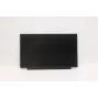 Lenovo 02HL701 Panel LCD HD TN de 13,3 pulgadas, antirreflejo, 250 nits