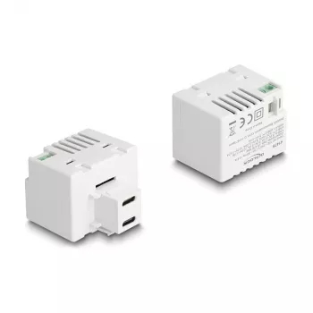 DeLOCK módulo Keystone 41479 2 x USB Type-C PD 20W blanco