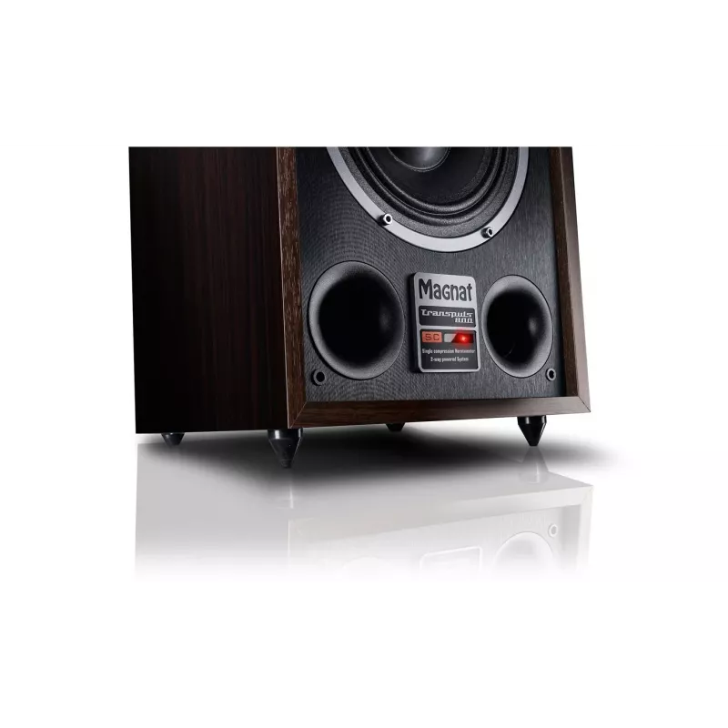 Altavoz de suelo Magnat TRANSPULS 800A 2 vías con cable e inalámbrico 2×60 W, Bluetooth 5.0, HDMI, negro/marrón