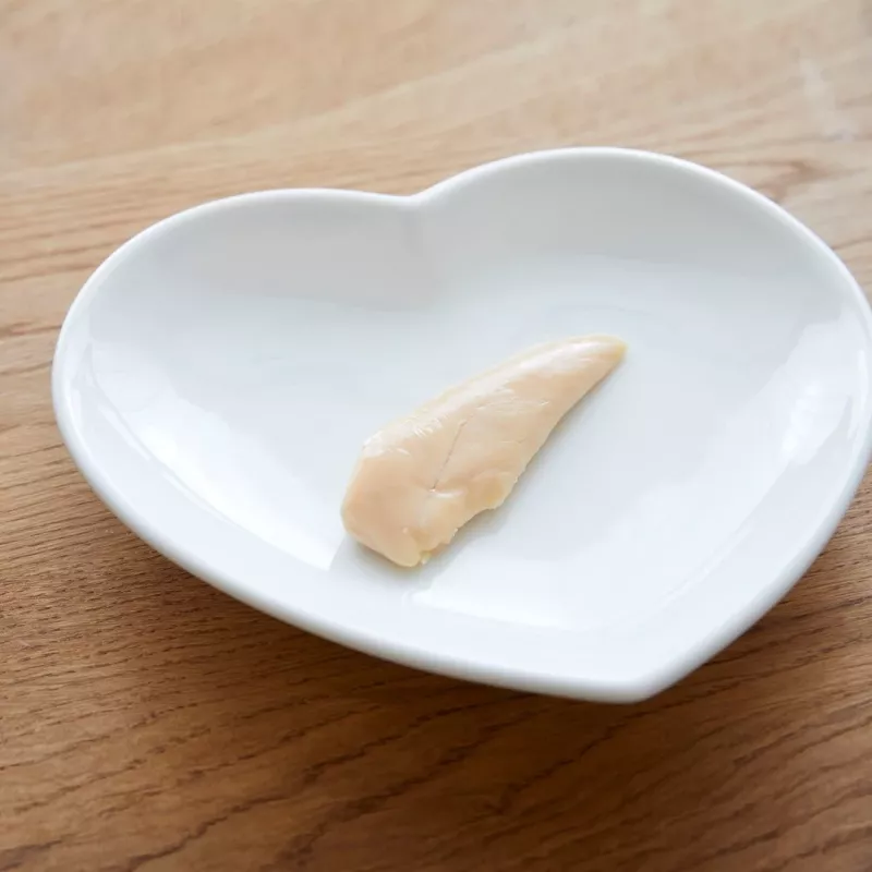 INABA Ciao Filete de pollo a la parrilla en caldo con sabor a pollo - Snacks para gatos - 25 g