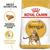 Royal Canin FBN Bengal Adult comida seca para gatos, 10 kg