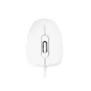 MODECOM M10 M-MC-0M10-200 ratón (óptico, 1000 DPI, color blanco) (M-MC-0M10-200)