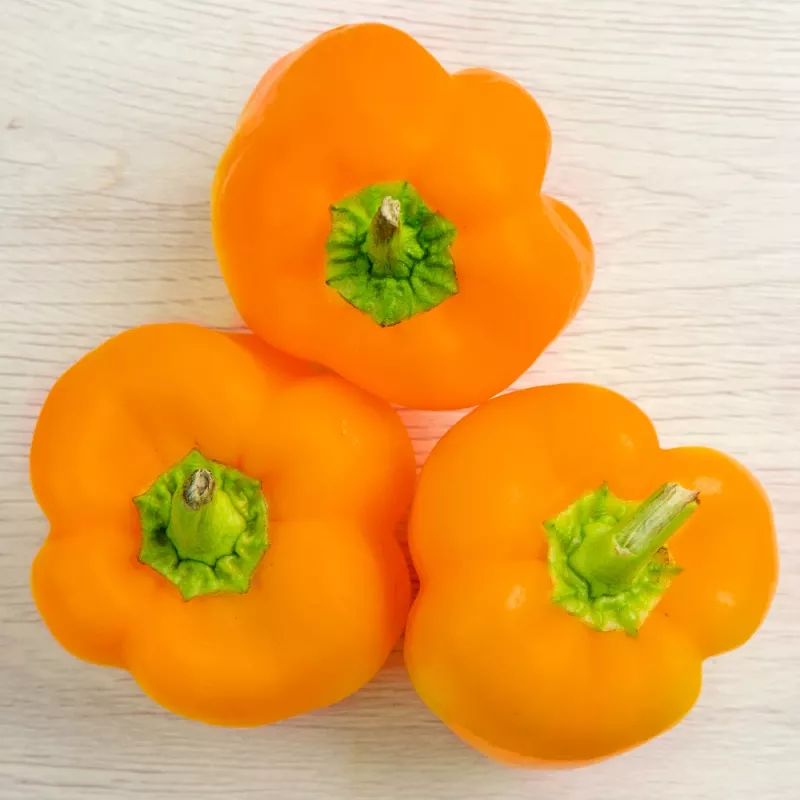 PNOS pimiento Etiuda semillas de hortalizas, 0,5 g