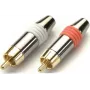 Juego de conectores macho RCA Kindermann KIN 7489000212 — conectores de audio rojo y blanco