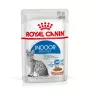 Comida húmeda para gatos Royal Canin Indoor Sterilized 12 x 85 g — aves, gatos adultos esterilizados de interior