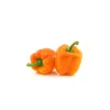 PNOS pimiento Etiuda semillas de hortalizas, 0,5 g
