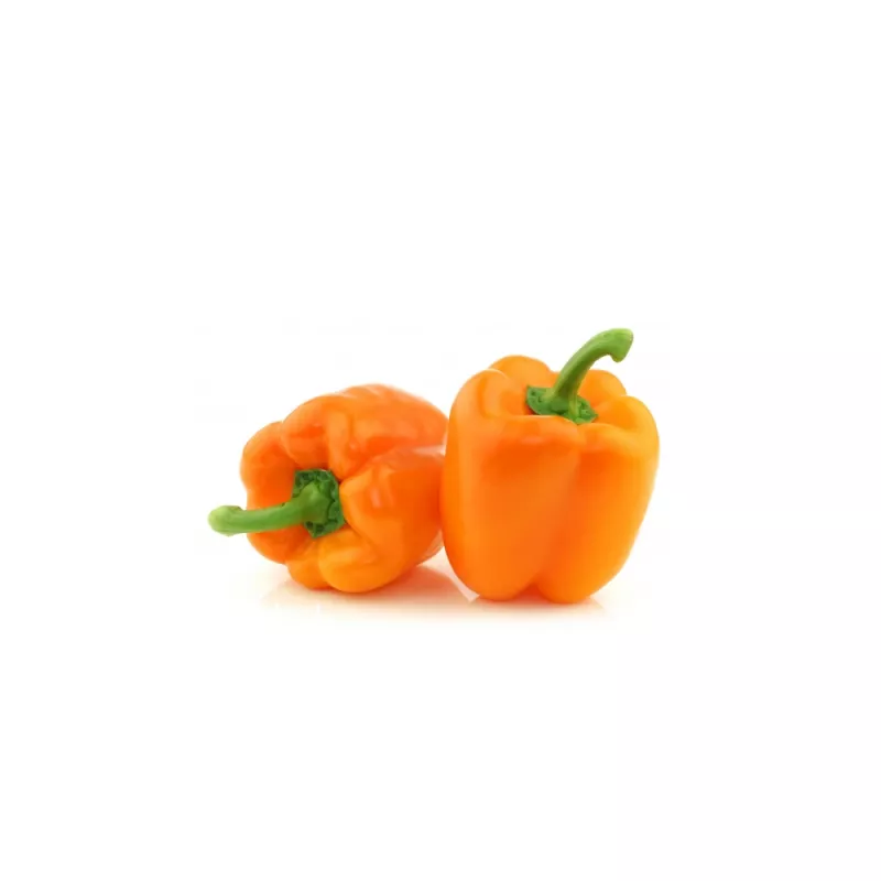 PNOS pimiento Etiuda semillas de hortalizas, 0,5 g