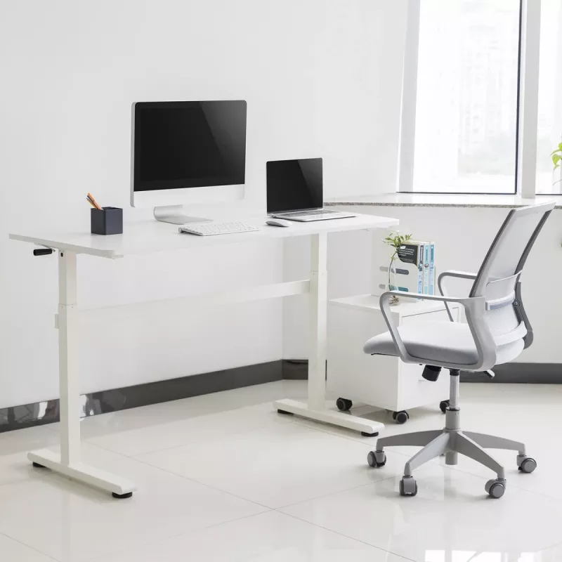 Escritorio Ergo Office regulable en altura manualmente, máx. 40 kg, altura máx. 117 cm, con tablero para trabajar de pie y sentado, ER-401 W