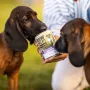RAW PALEO Adult Monoprotein pato - comida húmeda para perros - 800 g