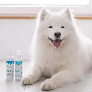 Acondicionador VETEXPERT Clinic Care Balance 150 ml — acondicionador veterinario para el pelo de perros y gatos, 150 ml