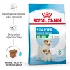 Pienso seco para perros Royal Canin Starter Madre & Cachorro 1 kg — pollo, 30% proteina, 22% grasa
