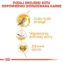 Royal Canin Sphynx Adult comida seca para gatos, 2 kg