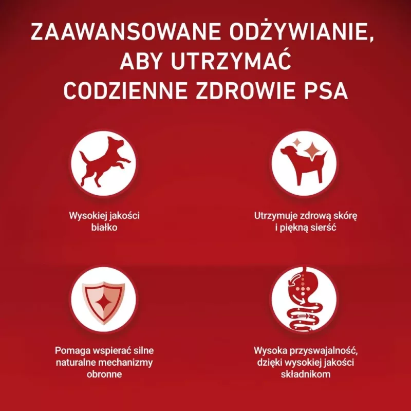 PURINA ONE MINI Dog Sensitive Salmon & Rice 1,5 kg