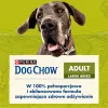 Purina DOG CHOW Large Breed Adult 14 kg pavo