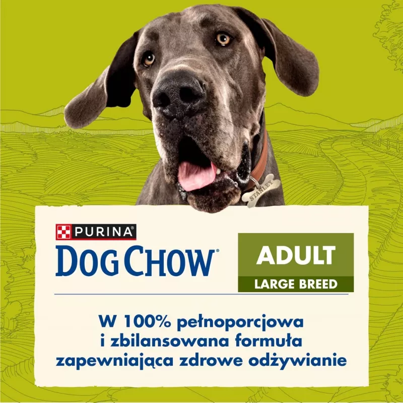Purina DOG CHOW Large Breed Adult 14 kg pavo