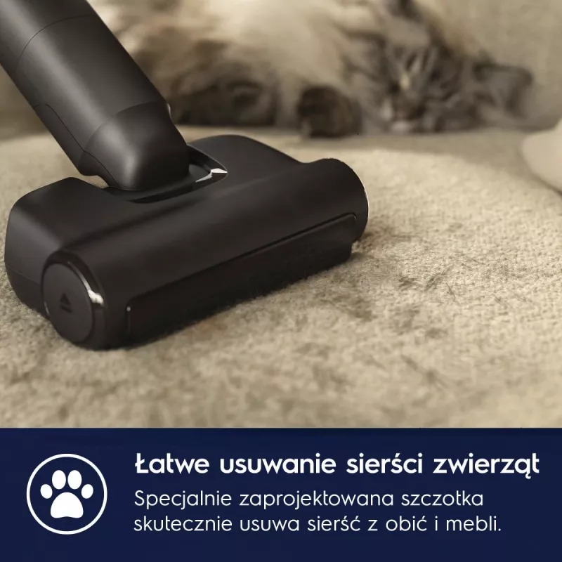 Aspirador de escoba/cepillo eléctrico Electrolux EP82AB25UG batería en seco ciclónico sin bolsa 0,4 l 100 W gris