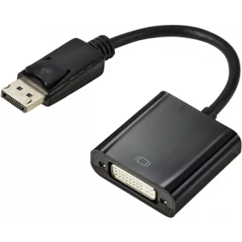 Renkforce RF-5771774 Adaptador DisplayPort / DVI [1x conector DisplayPort macho - 1x conector DVI hembra 24+5 polos] Negro funda de PVC 15 cm (RF-5771774)