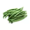 Semillas de judía Nomad Green Dwarf, 50g - semillas de hortalizas