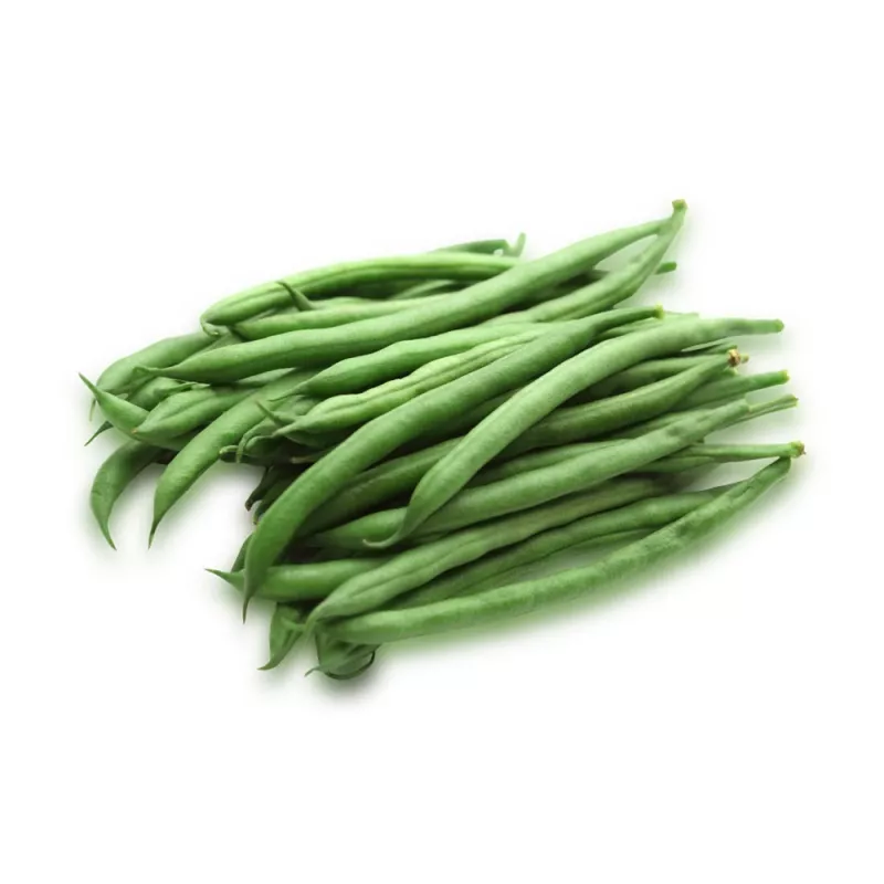 Semillas de judía Nomad Green Dwarf, 50g - semillas de hortalizas