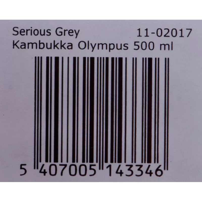 Kambukka Olympus Serious gris - Vaso térmico, 500 ml