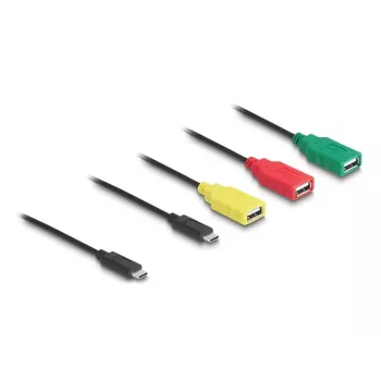 Hub USB DeLOCK 4 puertos USB 2.0 con cable USB Type-C a 3 x USB-A hembra + 1 x USB-C macho