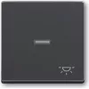 Busch-jaeger 2CKA001751A2931