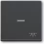 Busch-jaeger 2CKA001751A2931