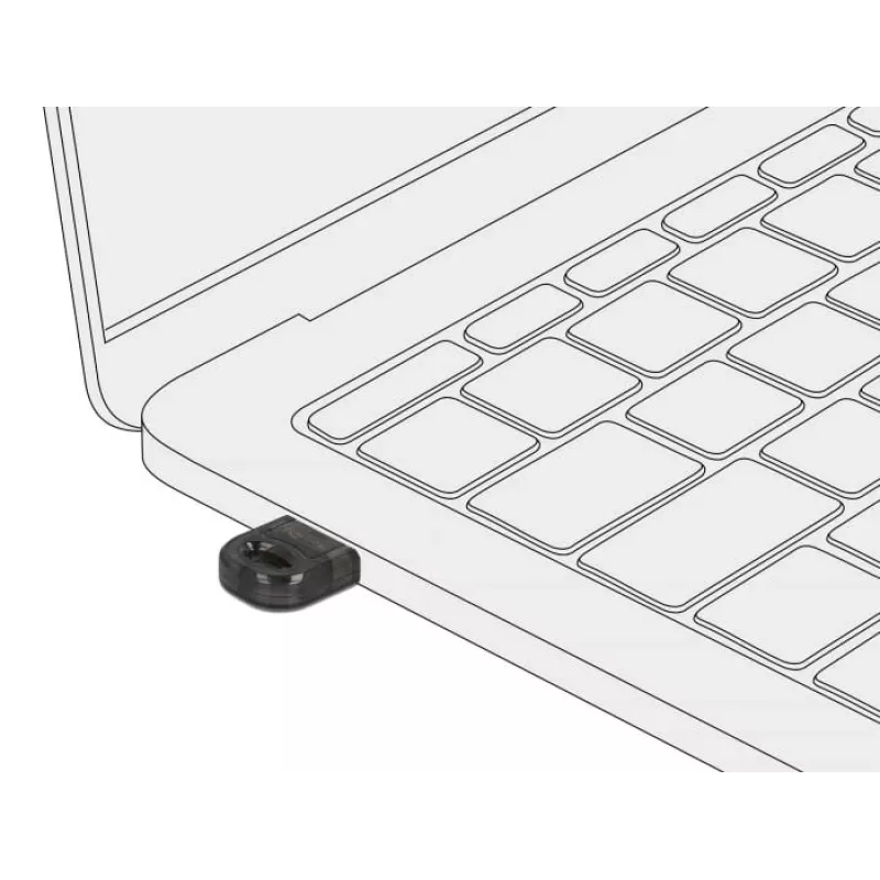 Tarjeta de red DeLOCK 61012 Bluetooth 3 Mbit/s