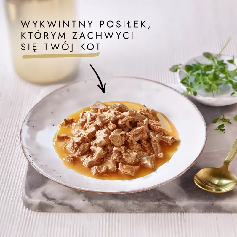 GOURMET GOLD Sauce Delights pollo 85 g