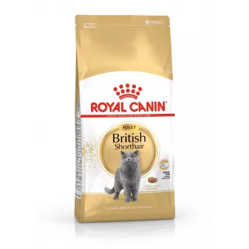 Pienso para gatos Royal Canin British Shorthair Adult 10 kg — Ave, 34 % proteínas, 19 % grasas