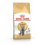Royal Canin British Shorthair Adult pienso seco para gatos, 10 kg