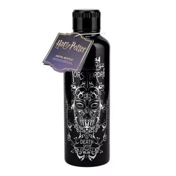 Botella de agua metálica Paladone Harry Potter
