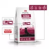 PUPIL Premium Razas medianas y grandes Rico en ternera - Pienso seco para perros - 12 kg