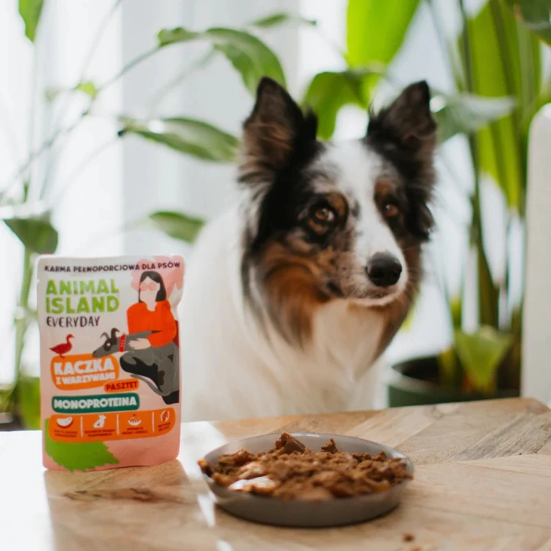 ANIMAL ISLAND Monoproteico pato para perros 300g