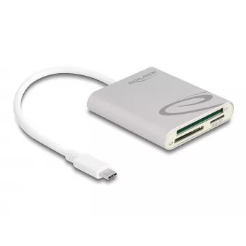 Lector de tarjetas DeLOCK 91005 USB 3.2 Gen 1 Type-C gris CF MMC MicroSD