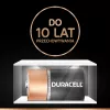 Duracell Basic D (R20) pila — pack de 2, pilas primarias de zinc-carbono