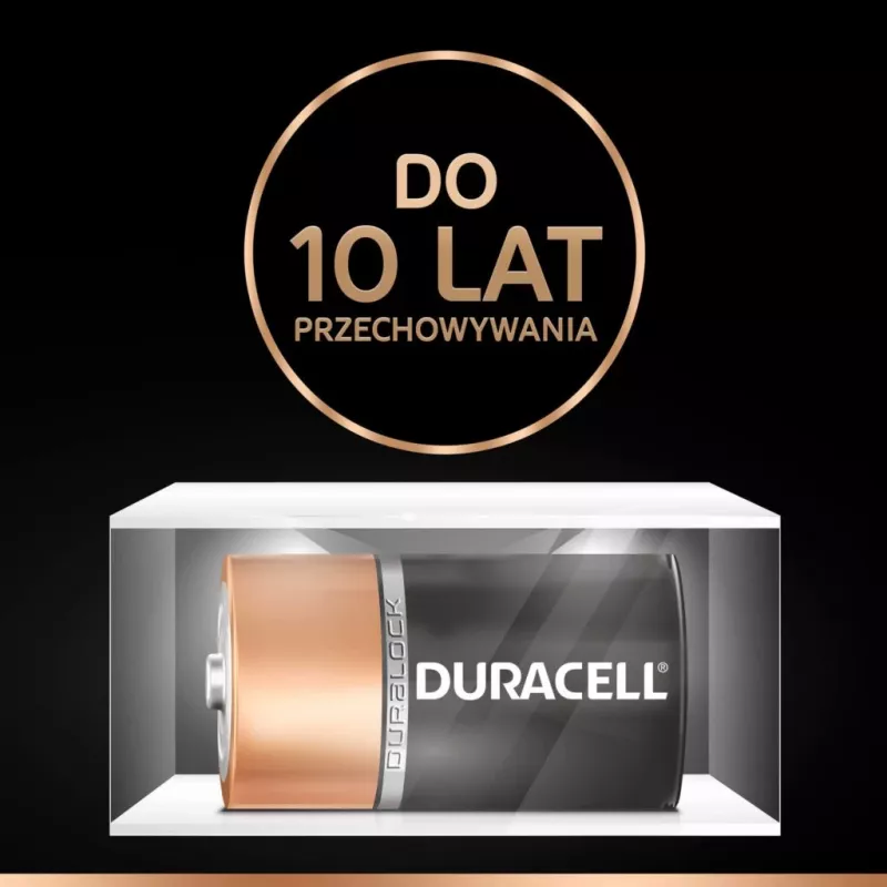 Duracell Basic D (R20) pila — pack de 2, pilas primarias de zinc-carbono