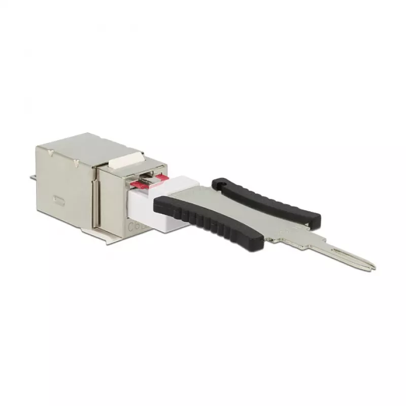 Delock 86404 módulo Keystone RJ45 Secure Cat.6 a LSA, blanco