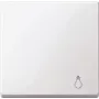 Tecla MERTEN con etiquetado luz MEG3302-0319 blanco polar brillante MEG3302-0319 MEG3302-0319 (MEG3302-0319)