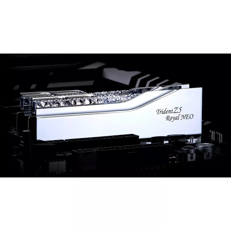 Módulo de memoria G.skill F5-8000J4048G24GX2-TR5NS