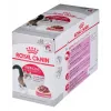 Royal Canin FHN Instinctive comida húmeda en paté para gatos adultos, 12 x 85 g