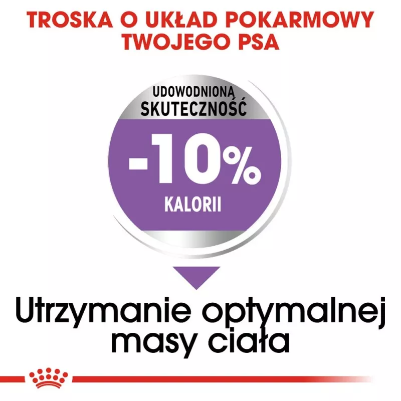 ROYAL CANIN Medium Sterilised pienso seco para perros - 3 kg