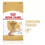 Comida seca para perros Royal Canin Yorkshire Terrier 8+ 3 kg — aves, para yorkshire terrier mayores, proteína 29%, grasa 18%