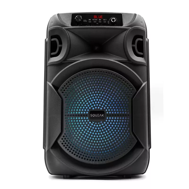 Altavoz Bluetooth 5.3 E DR PULSETOWER SQ1006