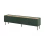 Mueble RTV 4D ONDA 200x40xH54.35 verde (de pie o montado en pared)